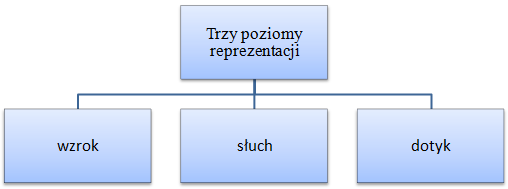 poziomy-reprezentacji3